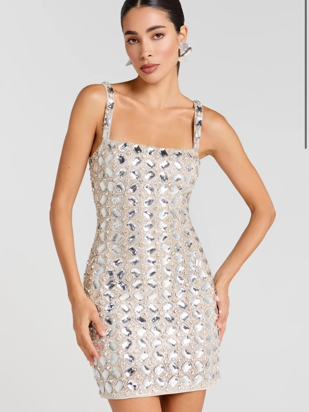 Nadine Merabi Tate Silver Dress NWT